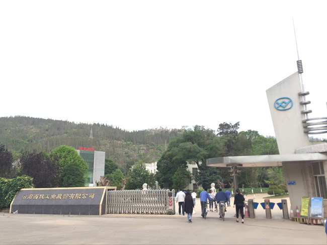 云南西仪股份公司采购夜明珠高手论坛伺服压装机